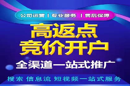 SEM外包服务优势案例分析